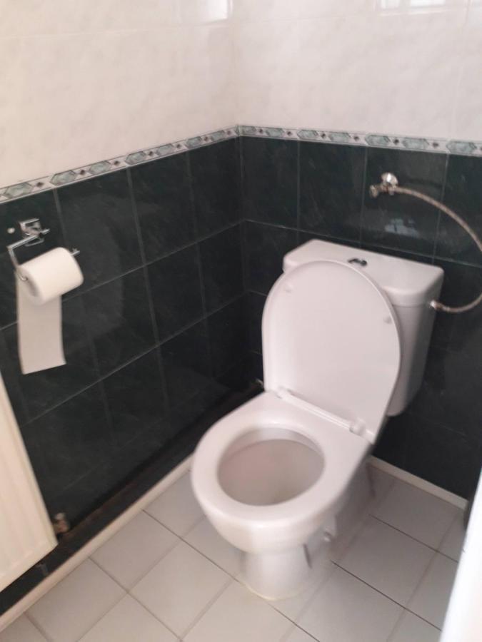 פודבראדי Penzion Na Strelnici מראה חיצוני תמונה